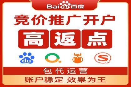 百度SEO推广公司案例汇编：实战技巧全解析